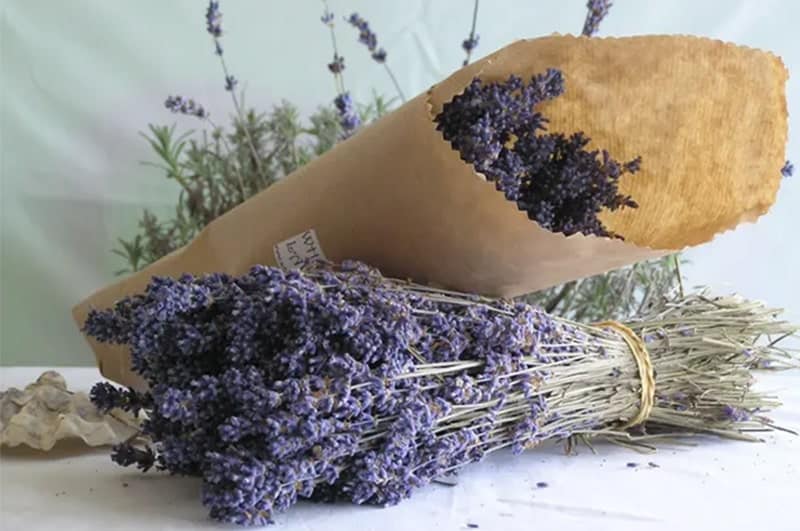 Shop hoa khô Đà Nẵng